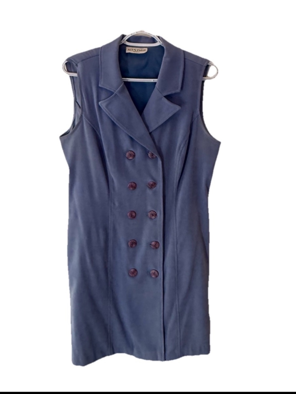 Alyn Paige Sleeveless Double-Breasted Dress in Slate Blue